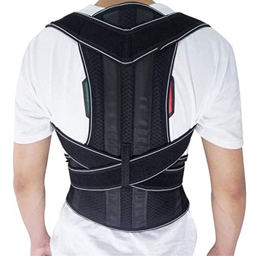 Ceinture dorsale hommes et femmes avec soutien lombaire ajustable