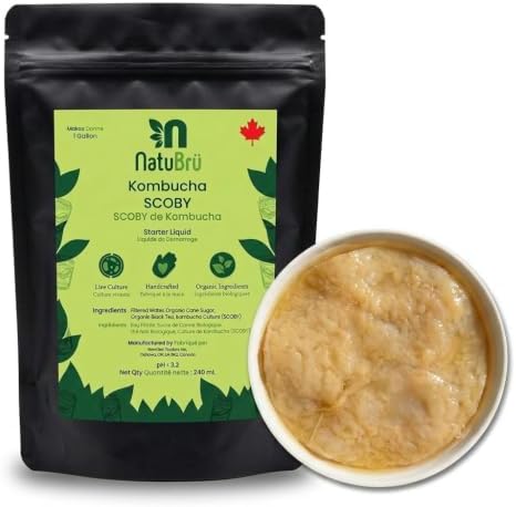 Kombucha Scoby with Starter Fluid, Ingredients Organic, Kombucha Scoby Live Culture by Natubrü - Made In Canada - 1 Pack