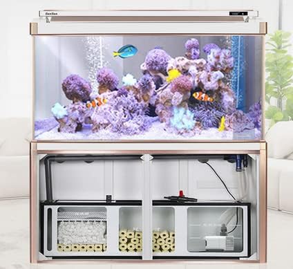 SunSun XDP-6000 pump installed in an aquarium sump