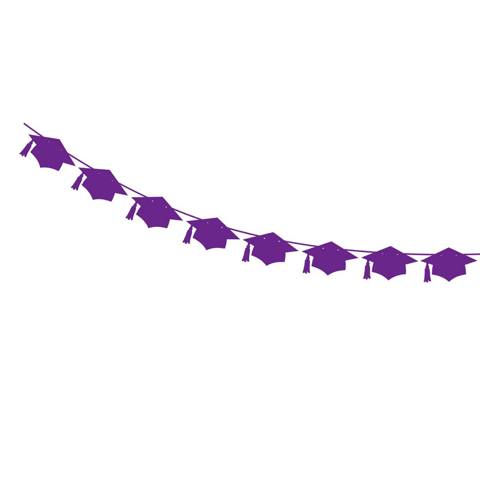 ZEPFJHE Complete Graduation Decoration Set Including Paper Buntings Swirls and Honeys Combs Balloons Hanging Party Garlands Multiple Occasion Party Banners