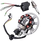 JDLLONG Magneto Stator with Ignition Box for Polaris Scrambler 50 90 2001-2003 for Polaris Sportsman 90 2001-2006 for Predator 50 90 2003-2006 for ETON 50 90 650234