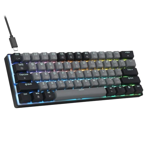 HUO JI 60% メカニカルキーボード 静音 赤軸 有線 テンキーレス ホットスワップ RGB Nキーロールオーバー (グレー&ブラック)
