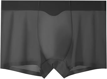 Mens Underwear Sexy Boxer Briefs Ice Silk Viscose Breathable Cool Seamless Underwear Trunks Shorts
