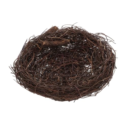 Beaupretty Ғ 胉^ Rfނ̒̑ CeA C[X^[p[eB[ K[f eEpfBXvC