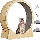 Hochwertige Massivholzverkleidung Katzenlaufrad - die perfekte Auslaufmöglichkeit für Katzen! (XL, Natur)