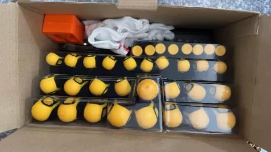 Tournevis magnétiques complets pour réparer et assembler facilement - 6
