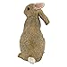 Design Toscano QM200681 Hopper the Bunny Standing Rabbit Indoor/Outdoor Garden Statue, 6 Inches Wide, 11 Inches Tall, Handcast Polyresin, Full Color Finish