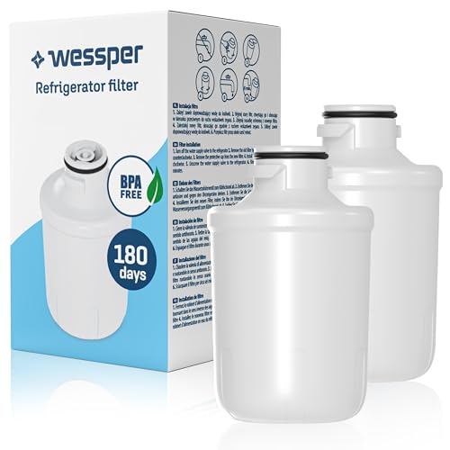 Wessper Filtro de agua para frigorífico, repuesto Hotpoint C00300448, Indesit C00300448, Caple C00300448, filtro de agua, compatible con frigorífico Hotpoint, Indesit, Caple - 2 piezas