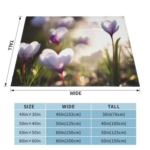 Couverture microfibre OUSIKA en micro polaire haut de gamme 150x127 cm - 5