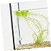 POPETPOP 1set Fish Tank Glass Shrimp Feeder Cup Design Lightweight Glass for Aquariums for Shrimp and Bottom-Dwelling Fish Round Basin