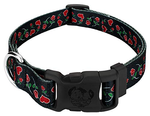 Country Brook Petz - Deluxe Roses For My Valentine Dog Collar Limited Edition - Made In The U.s.a. - Affection Collection With 12 Designs You'll Adore (5/8 Inch, Small) #TOP9