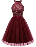 Dressystar Women's Short Sequin Tulle Halter Homecoming Cocktail Party Dress SQ68 Burgundy XL