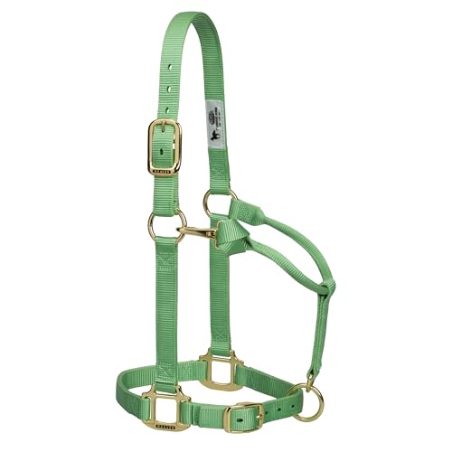 Cabezal ajustable Weaver Leather Original con hebillas resistentes para el control diario de tu caballo