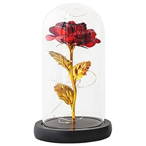Schoonheid en de beest roos, ZoneYan betoverde roos lamp, goud plating Rose bloem in een glazen koepel met LED-licht…