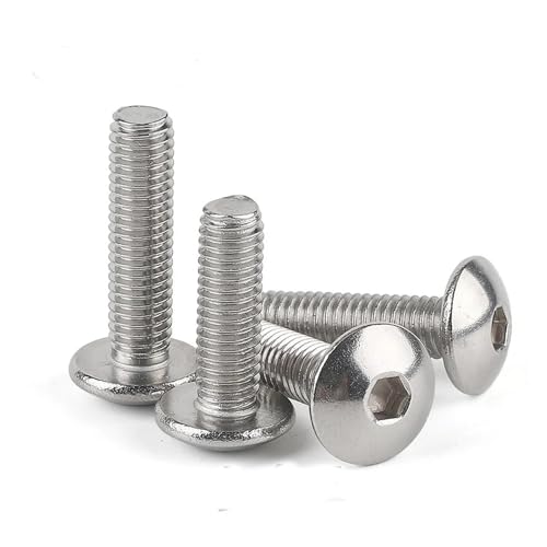 SHENGW(ȓX) 100/bg M2 M2.5 M3 M4 M5 304XeX| ZpZp\Pbg{^wbhXN[{g ی^tbgwbhXN[X^hIt(10mm x100pcs,M3)