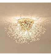 Yasince 8-Light Modern Crystal Firework Ceiling Lights, Sputnik Close to Ceiling Light Fixture, D...