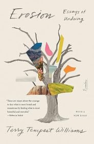 Erosion by Terry Tempest Williams