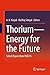 Produktbild ThoriumEnergy for the Future: Select Papers from ThEC15