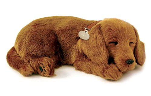 Non solo per gli amanti degli animali che non possono averne uno a causa di un'allergia Dolcissimo cucciolo di cane nel cestino, circa 25x 19 cm, compreso certificato di adozione e spazzola.