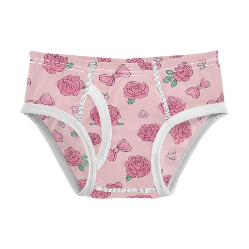 Wusikd Pink Roses Bows Cute Boys' Underwear Cotton Boys Briefs Soft Toddler Underwear 2T
