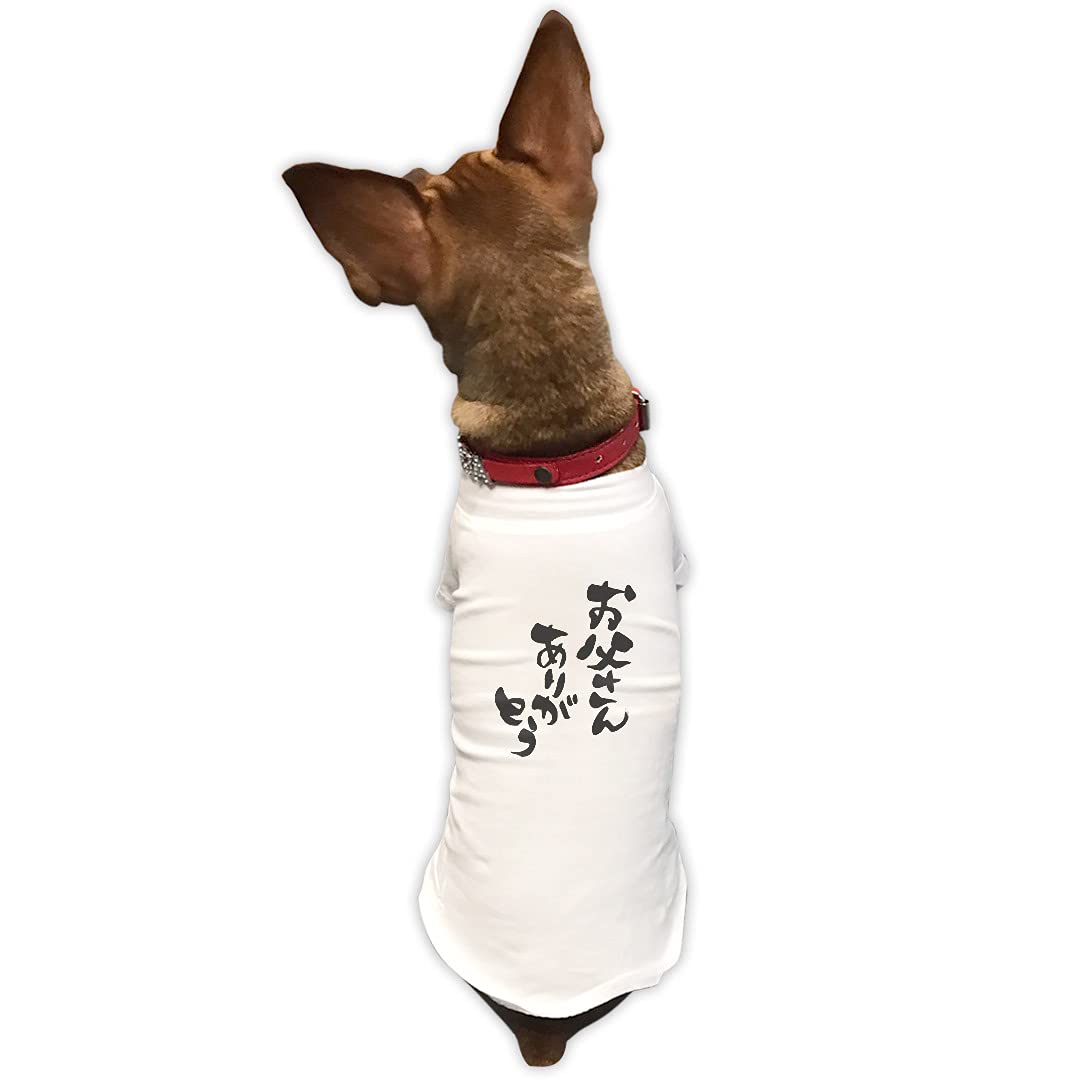 Amazon.co.jp: 犬服 Tシャツ Lサイズ 小型犬用 袖あり 半袖 ホワイト 