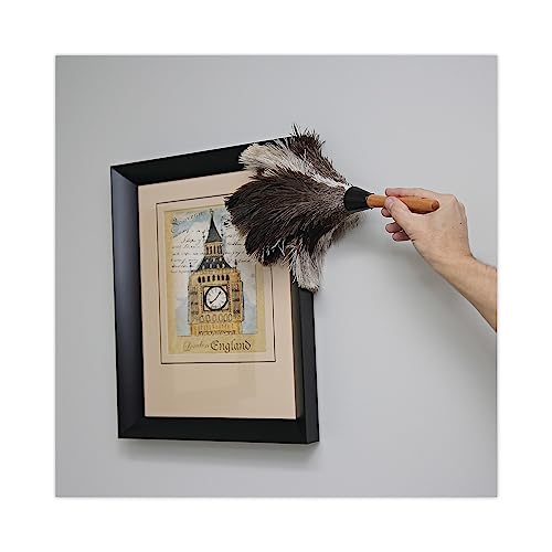 Image of Boardwalk Professional Ostrich Feather Duster, 7 inch Handle