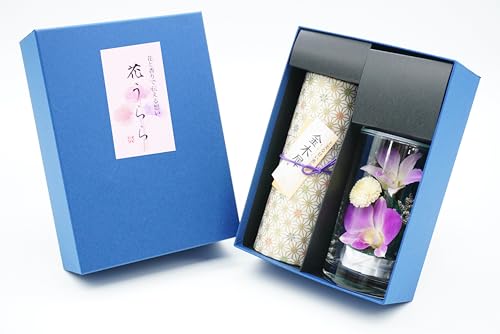 yԂ Ӓ̃vU[uht[Ƃ̃A\[gzy݂̒z؍҂̍̉̏Ȃ E䋟lt ~ErEMtgEiEp ynƕONiyIWiz