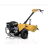  Motocultor 741NRQG-V20 - Garland