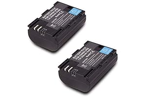 2 Pack High Capacity Replacement Canon LP-E6 Battery for 5D Mark III Cameras (2650mAh)