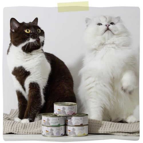 MjAMjAM - Premium Nassfutter für Katzen - DUO von zarter Ente & guter Pute an gedämpftem Kürbis, 6er Pack (6 x 200 g), getreidefrei mit extra viel Fleisch