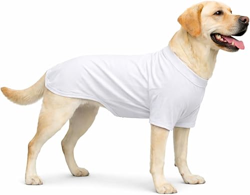 Miniatura 108 de Lovelonglong Ropa para mascotas, disfraces para perro, ropa de perro salchicha, camiseta en blanco para perros salchicha, Corgi 100% algodón, rosa
