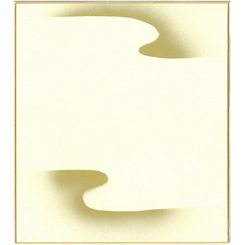 エヒメ紙工 色紙 菊水 ES2S-10 242×272mm 2枚入