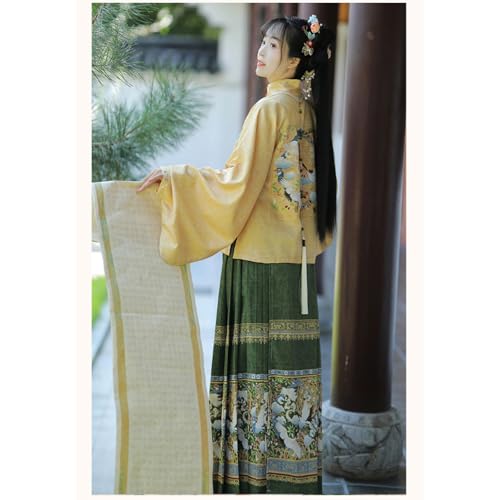 Costumes hanfu anciens de qualité supérieure aux manches longues