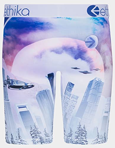 Ethika Mens Staple Boxer Brief | Cash Rules2