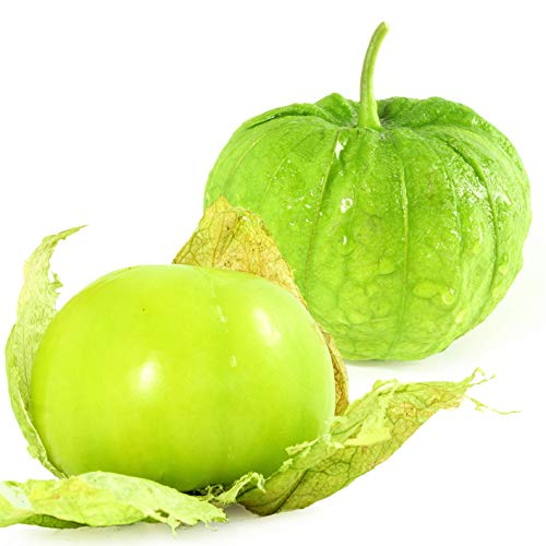 Tomatillo how to grow care