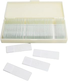 30/50pk Prepared Biology Slides for Microscope Use