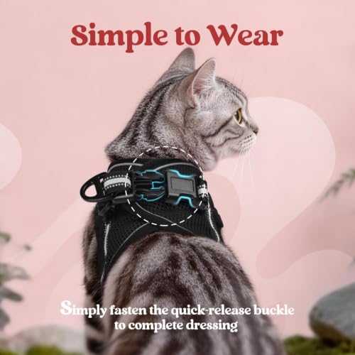 Image of rabbitgoo Cat Harness and Leash Set, Step-in Soft Vest, Black | Escape Proof, Lightweight, Easy-on & Adjustable, Hook & Loop with Buckle, Reflective, for Kittens & Small Cats Walks, S