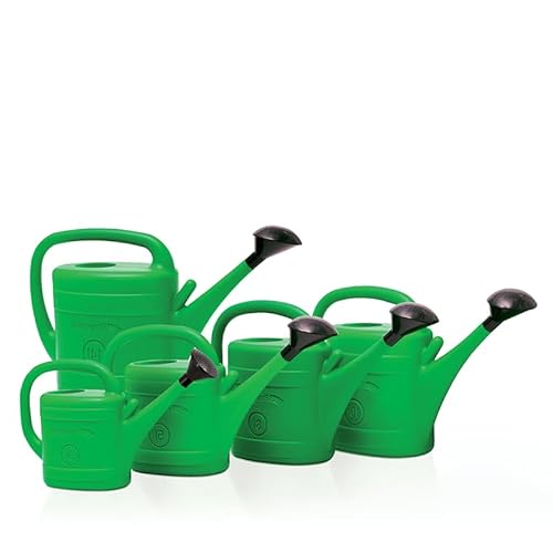 B2C Lightweight Plastic Watering Can Garden Plants Indoor Outdoor Rose Head Sprinkler 3 5 8 10 14 Litre (3 Litres) 2 B2C Lightweight Plastic Watering Can Garden Plants Indoor Outdoor Rose Head Sprinkler 3 5 8 10 14 Litre (3 Litres) - Image 2