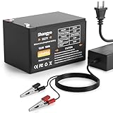 12V 15Ah Lithium Battery, Up to 4000+ Cycles Rechargeable Batteries with Charger, LiFePO4 Deep Cycle, 12.8 Volt Battery for Trolling Motor/Solar&Wind Power/Golf Cart/RV/Fish Finder/Lighting and More