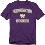 LOGOVISION University of Washington Campus Classic Unisex Adult T Shirt, Purple, Large