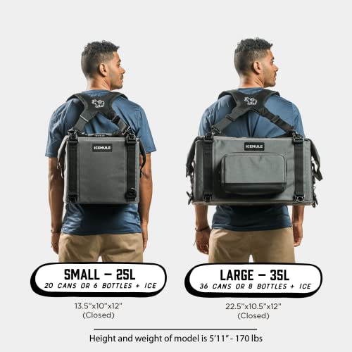 Icemule Traveler Backpack Cooler – Removable Butterfly Straps, 100% Waterproof, 24+ Hours Cooling, Soft Sided Cooler For Hiking, Camping & Picnics, 25 Liter, Fits 20 Cans + Ice, Snow Grey #TOP1