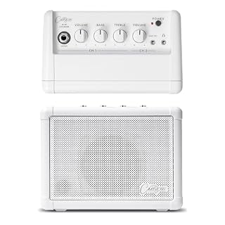 Carry-on Mini Speaker – Amplifier for Electronic Guitars and Drums, Keyboards, Digital Wind Instruments and Microphones – Portable Speaker with Dual Input Channels & Expandable Stereo Option - Les Beatles, Paul McCartney, John Lennon, RIngo Starr, George Harrison