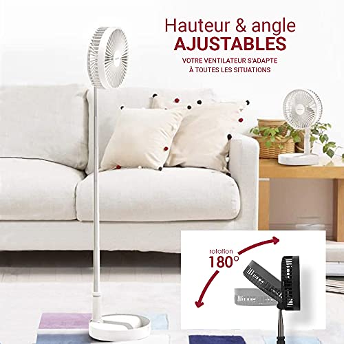 Villages de Provence Tragbarer Faltbarer ausziehbarer Lüfter - Schwarz - Image 6