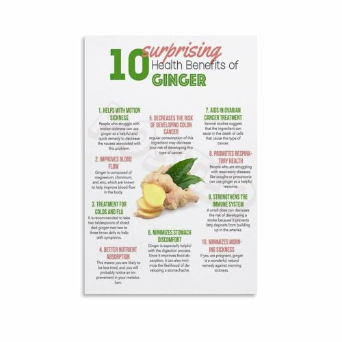Zingiber Officinale Poster, The Ginger Plant Botanical & Culinary Guide, Minimalist Science Wall Art for Plant Lovers, Restauran