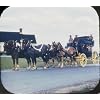Horses 3D View-Master 3 Reel Set