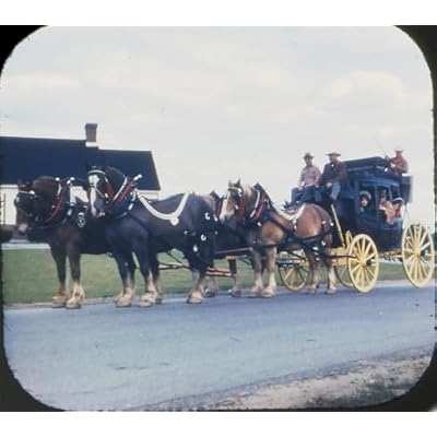 Horses 3D View-Master 3 Reel Set