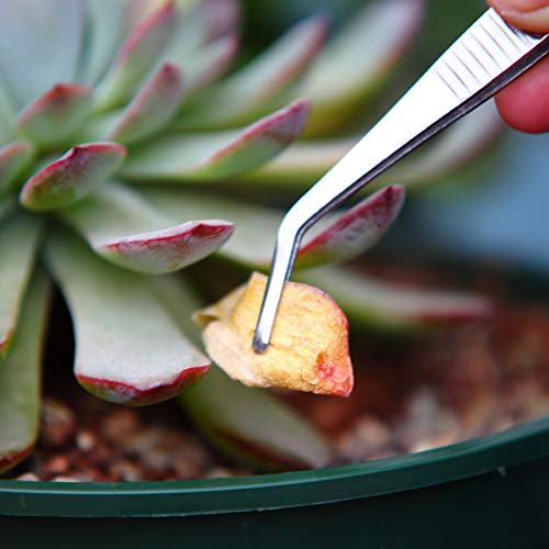 Set de pinzas de acero inoxidable para jardín y cocina, 3 piezas miniatura 4