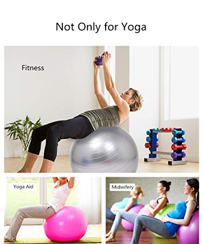Thickening Total Body Balance Ball Kit - Includes Anti-Burst Stability Exercise Yoga Ball, Workout Program- 26 inch Pink