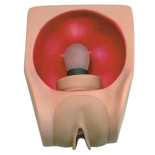 ERICAT - Contraception Model for Women, Female Intrauterine Contraceptive Device with Vaginal Expandable and Condom Wear Design, Realistic Simulation and No Need of Assemble, for Displaying Studies