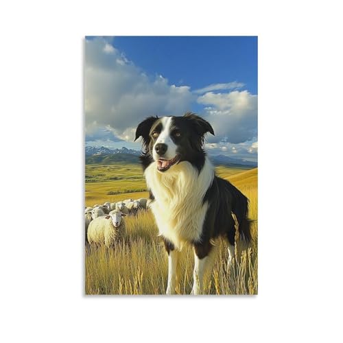 Cuadro de Border Collie en lienzo para salon y comedor de 50x75 cm